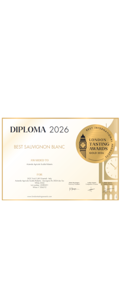 SAUVIGNON RS DOC FCO - immagine 3